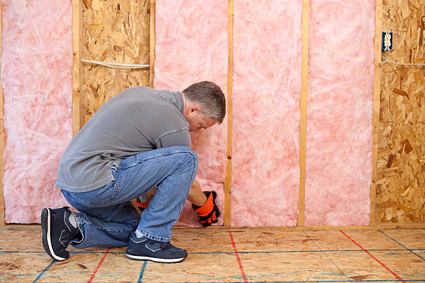 Best Professional Insulation Contractor  in Thiensville, WI