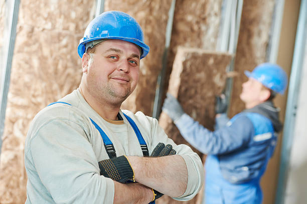 Best Insulation Contractor Near Me  in Thiensville, WI